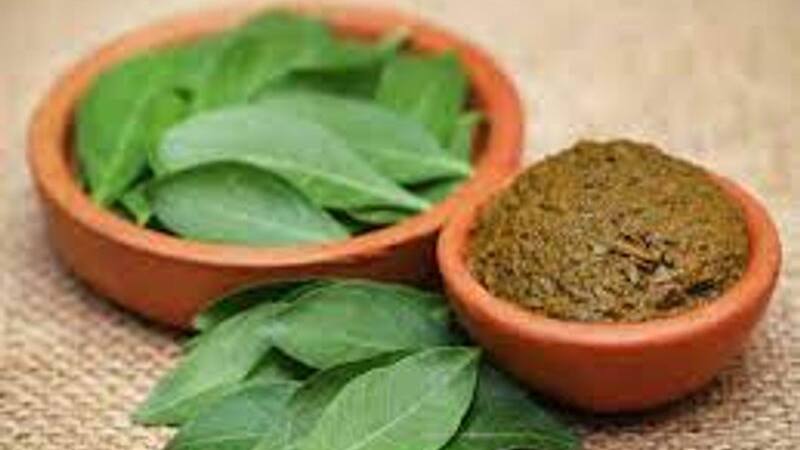 Ashada Masam: ఆషాఢ మాసంలో  చేతులకు గోరింటాకు ఎందుకు పెట్టుకోవాలి..?