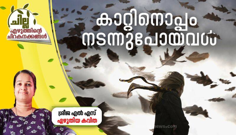 chilla malayalam poem by Sreeja LS