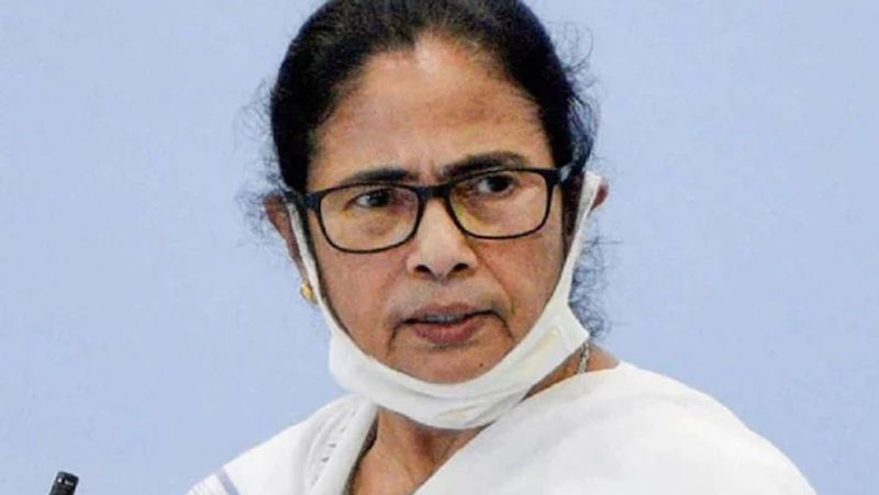 mamata banerjee comments on shah rukh khan in maharashtra visit