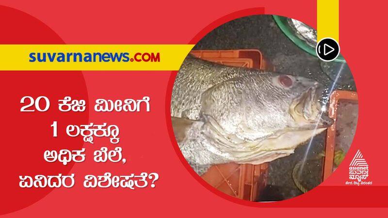 Fish caught in Malpe beach sold out for more than a lakh rupees dpl