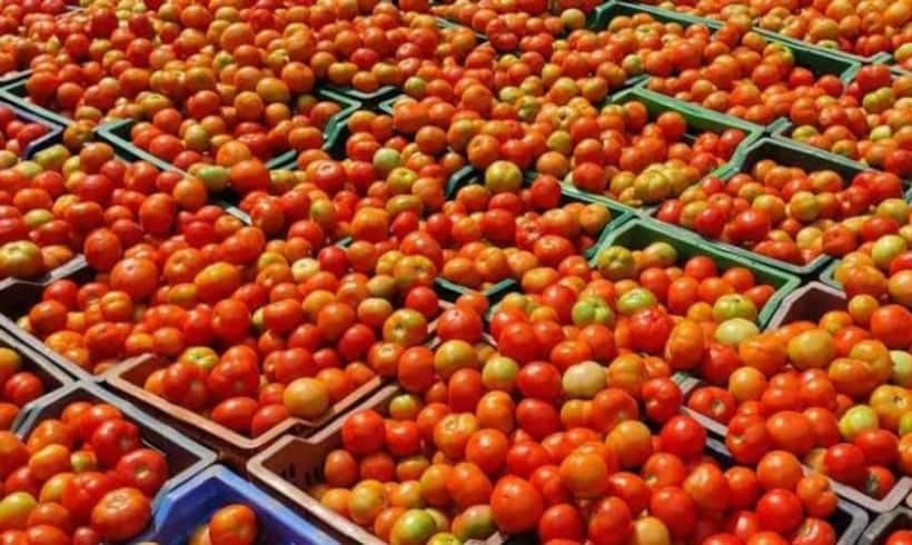 Tomatoes price:  మామిడి కంటే ట‌మాటో ధ‌ర‌లే అధికం.. కిలో రేటు సెంచ‌రీ పైనే.. ! 