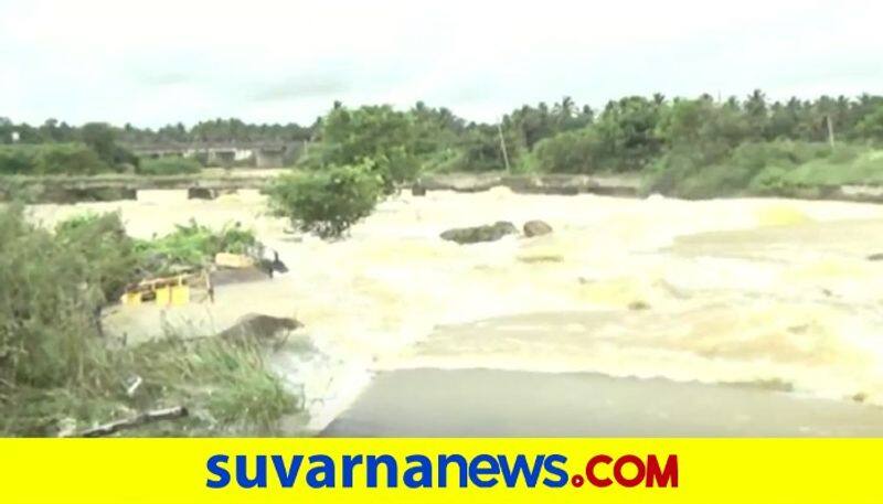 Untimely Rain Gives Rebirth To 3 Dead Rivers in Tumakuru pod