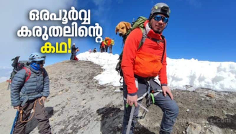 30 climbers rescues a lone dog from 5000 foot high volcano