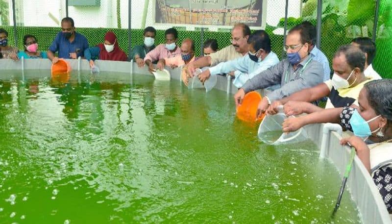 modern fish farming in 23500 ltr water tank