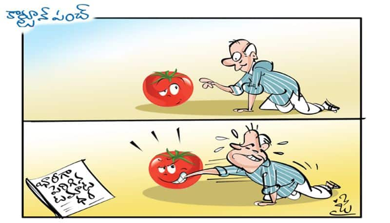 cartoon punch on Tomato price