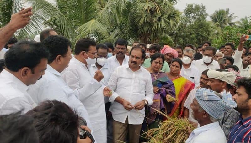 Agriculture Minister Kannababu visit to flood affected areas in andhrapradesh