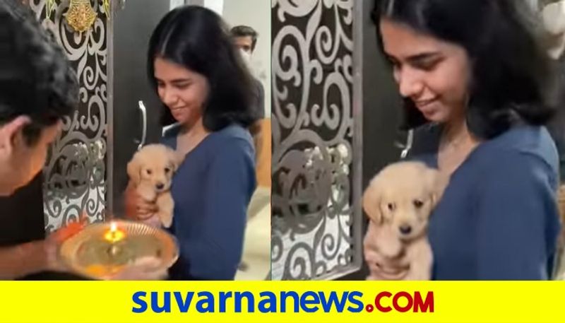 Pup gets full desi welcome at home in adorable viral video dpl