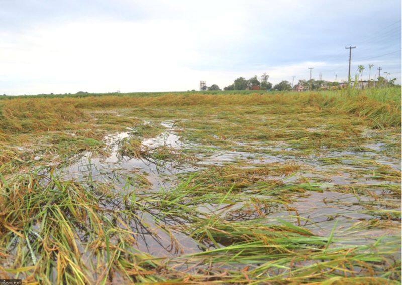 The Meteorological Department has warned that a new storm will hit Tamil Nadu