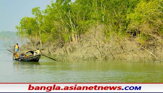 Gosaba tiger attack: বাঘের হানায় গুরুতর জখম মৎস্যজীবী, পাঠানো হল চিত্তরঞ্জন মেডিকেল কলেজে