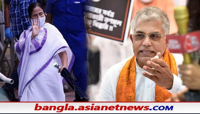 Dilip Ghosh Attacks Mamata: পুর-নির্বাচনে করা পাপ ধুতেই গঙ্গাসাগর গিয়েছেন মমতা, তোপ দিলীপের