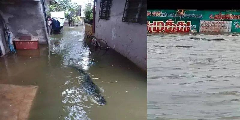 Chengalpattu Collector Statement