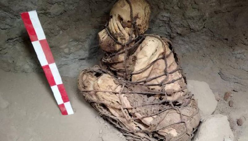 atleast 800 year old mummy found