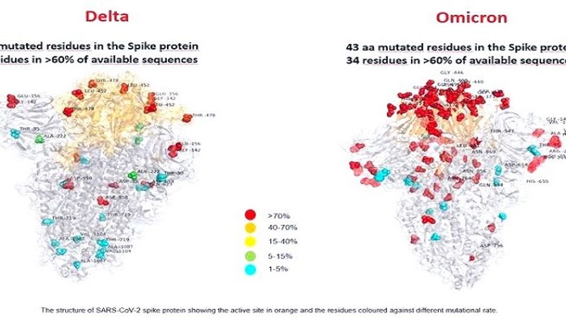 coronavirus new variant spread over 14 countries