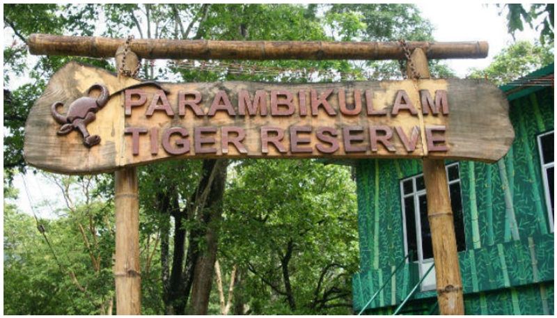 temporary job vacancy Parambikulam Tiger Reserve