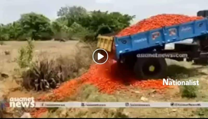 farmers dumping tomato in road side in Karnataka asianet news visual used with fake claim related to canceling farm laws