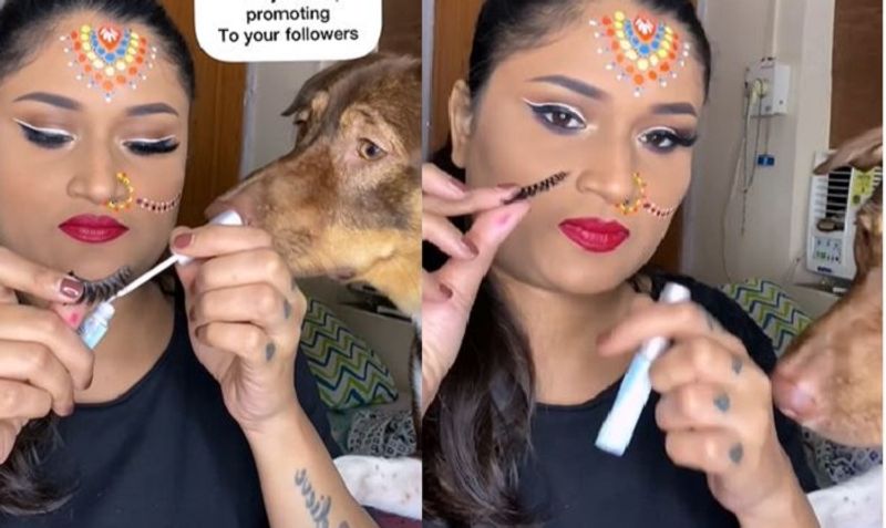 Cutest pet Dog try to be a makeup artist viral video on internet ckm