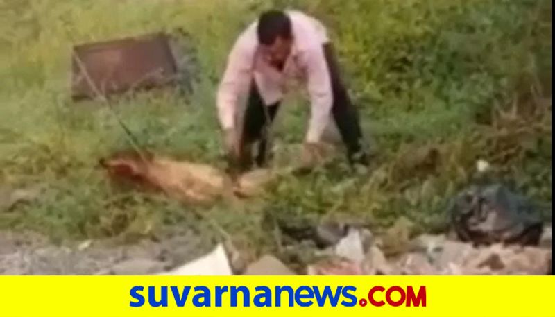 MP man cuts dog to pieces as revenge for mauling his son face video goes viral pod