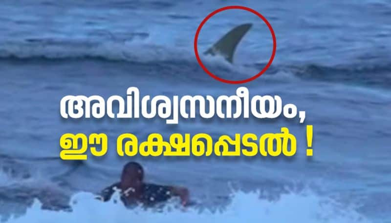 Shark just behind while surfing the ocean finally an incredible escape