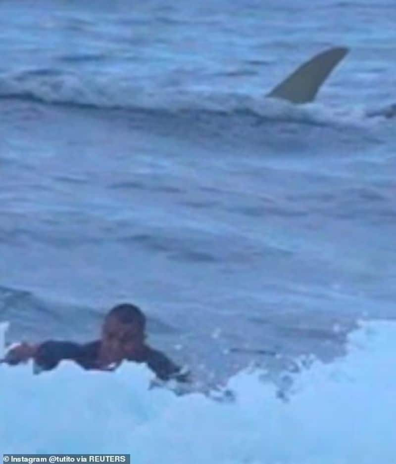 5-year-old sees shark while surfing with his dad in viral video ram