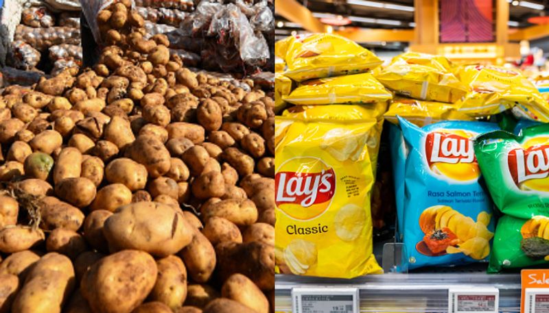 PepsiCo decides to cut palm oil in Lay's chips