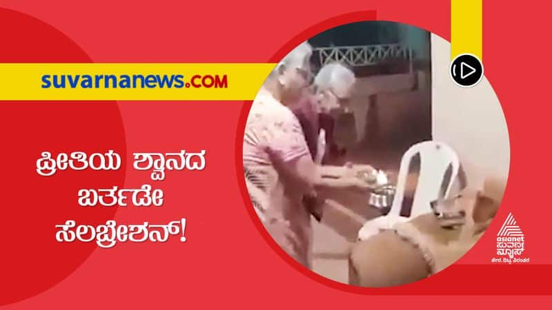 Cute Video of Sudhamurthy Celebrating Pet Gopi Birthday hls