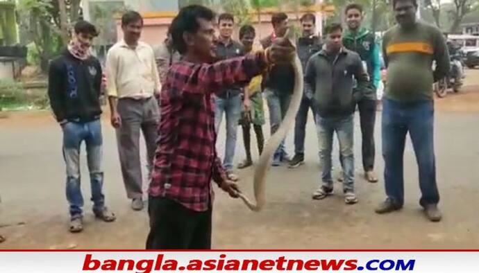 Snake Rescue: সাপের উৎপাতে নাজেহাল বর্ধমানবাসী, ফের গোখর উদ্ধার ভাতার কৃষি মাণ্ডিতে