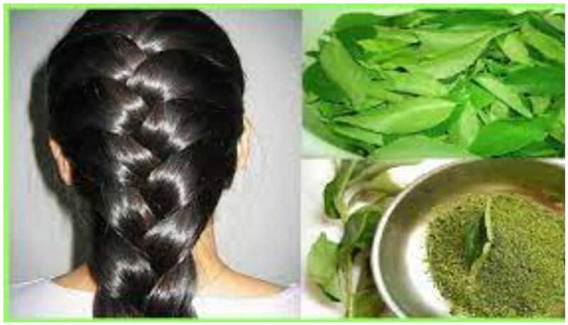 Boost hair growth with curry leaves: Powerful homemade hair packs anr