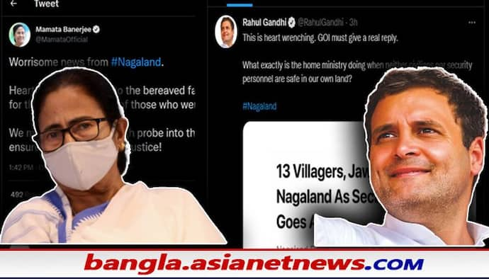 Nagaland: সেনার গুলিতে গ্রামবাসীদের মৃত্যুতে তদন্তের দাবি মমতার, কেন্দ্রের কাছে ‘জবাব’ চাইল রাহুল