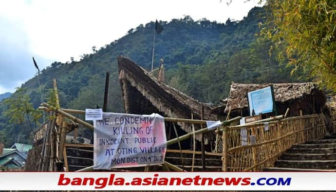 Nagaland Firing: আফস্পা বাতিলের দাবি, আধাসেনার বিরুদ্ধে হত্যার মামলা, মুখ খুললেন অমিত শাহ