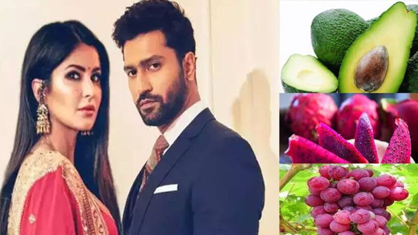 Katirna kaif Vicky Kaushal Marriage:कैट विक्की के मेहमानों के लिए विदेशों से आया फल, कीमत जान उड़ जाएंगे होश
