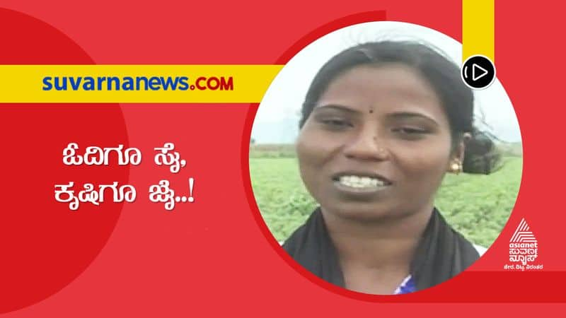 Koppala Teacher Manjula turns into a farming woman hls