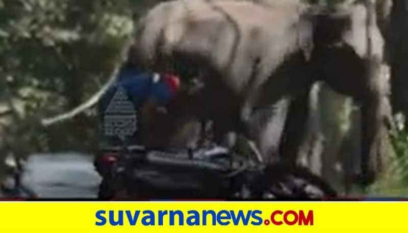 Chamarajanagar Elephant Chases Biker Video Goes Viral hls