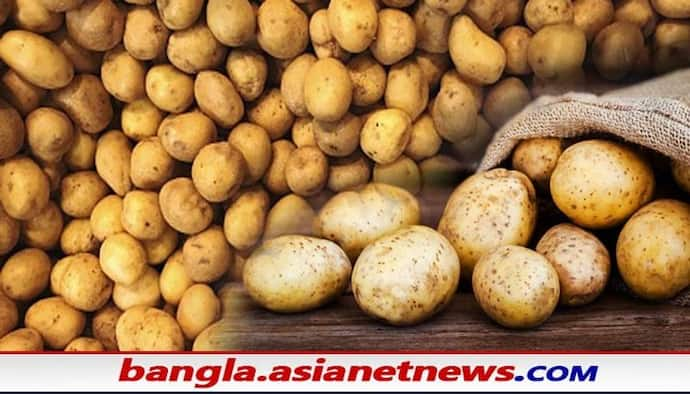 Potato Price Hike: প্রবল বর্ষণে ডুবে অর্ধেক জমি, খুচরো বাজারে হু হু করে বাড়ছে আলুর দাম