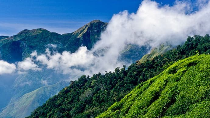 International Mountain Day 2021: जानें क्या है इस साल की थीम, क्यों मनाया जाता है इंटरनेशनल माउंटन डे