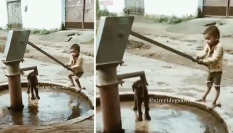 child helps street dog to get drinking water