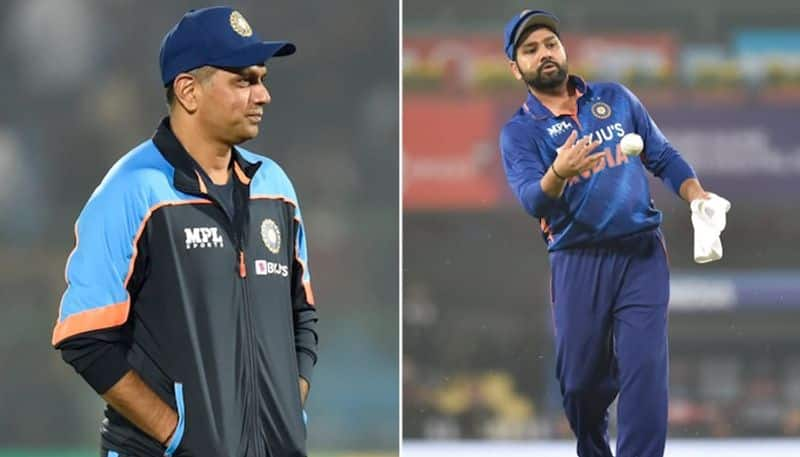 Rohit Sharma, Rahul Dravid accused of 'doctoring' India-Australia World Cup final pitch: 'They came in evening and lns