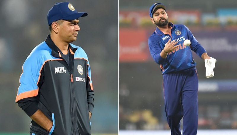 Rohit Sharma, Rahul Dravid accused of 'doctoring' India-Australia World Cup final pitch: 'They came in evening and lns