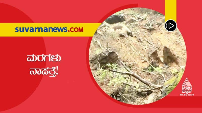 Trees Fallen During Floods Landslides Go Missing in Uttara Kannada hls