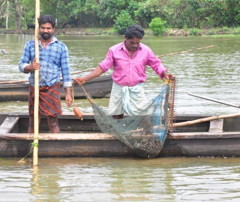 clam production in Vembanad lake