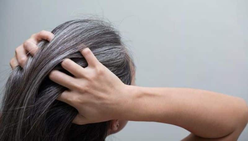 tips to prevent premature greying of hair