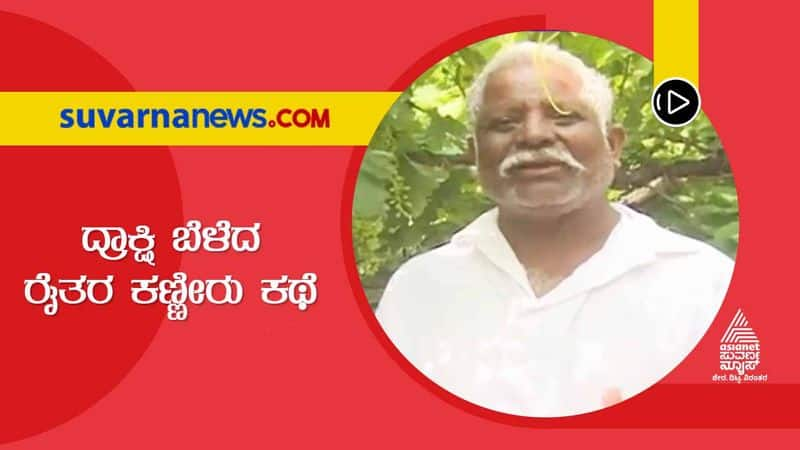 Grape Farmers Suffering Due to Untimely Rain in Vijayapura grg