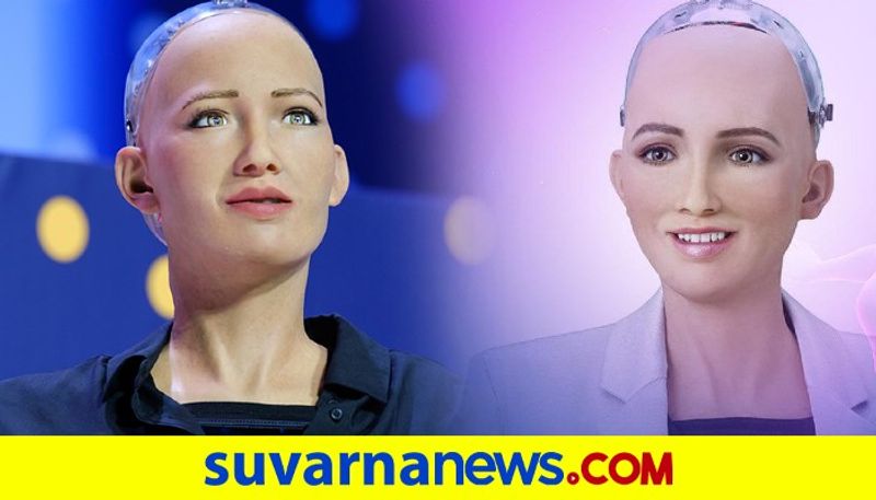 The Human Like AI Robot Sophia Wants To Become A Mother dpl