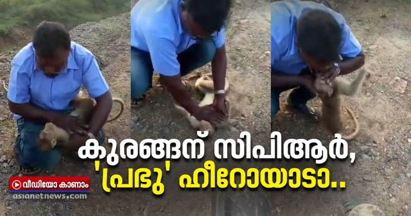 Taxi driver gives CPR to injured monkey