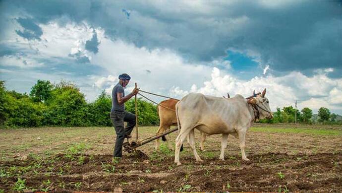 Life Management: भगवान ने किसान की इच्छा पूरी की, फसल भी अच्छी हुई, लेकिन बालियों में दाने नहीं थे, ऐसा क्यों