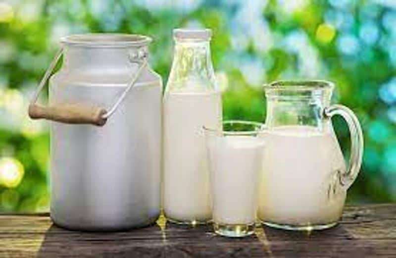 Chikkaballapura Milk  Union Will Starts in 6 Month snr