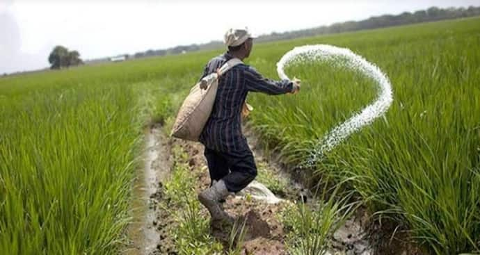 PM Kisan Yojna: खाते में नहीं आया है पीएम किसान योजना का रुपया तो इन नंबरों पर करें शिकायत, तुरंत आएगा पैसा