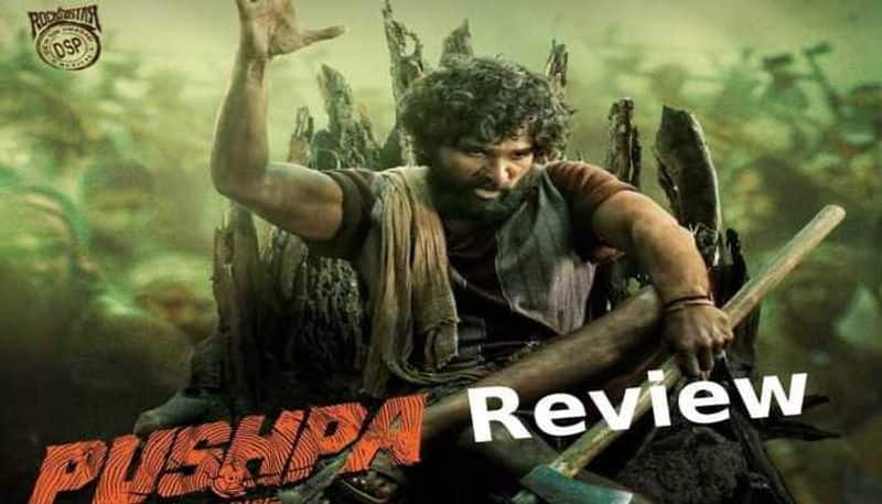 Allu Arjun Pushpa Movie Review, Rating