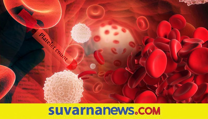 Lower Platelet count dangerous have good rich with Vitamin K C and iron