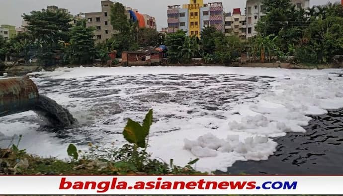 Toxic Foam in New Town: এবার নিউটাউনের খালেও বিষাক্ত ফেনা, কতটা ক্ষতিকর - জেনে নিন বিস্তারিত