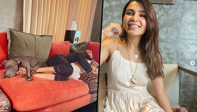 Samantha Ruth Prabhu chills with her pets on Sunday morning [Photos] SCJ